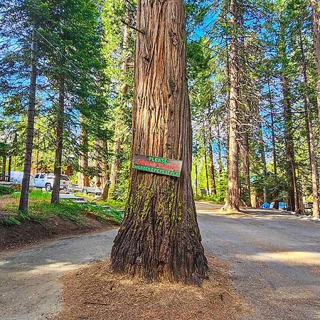 Villa Water'S Edge Retreat Shaver Lake Exterior foto
