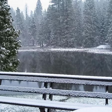 Villa Water'S Edge Retreat Shaver Lake Exterior foto