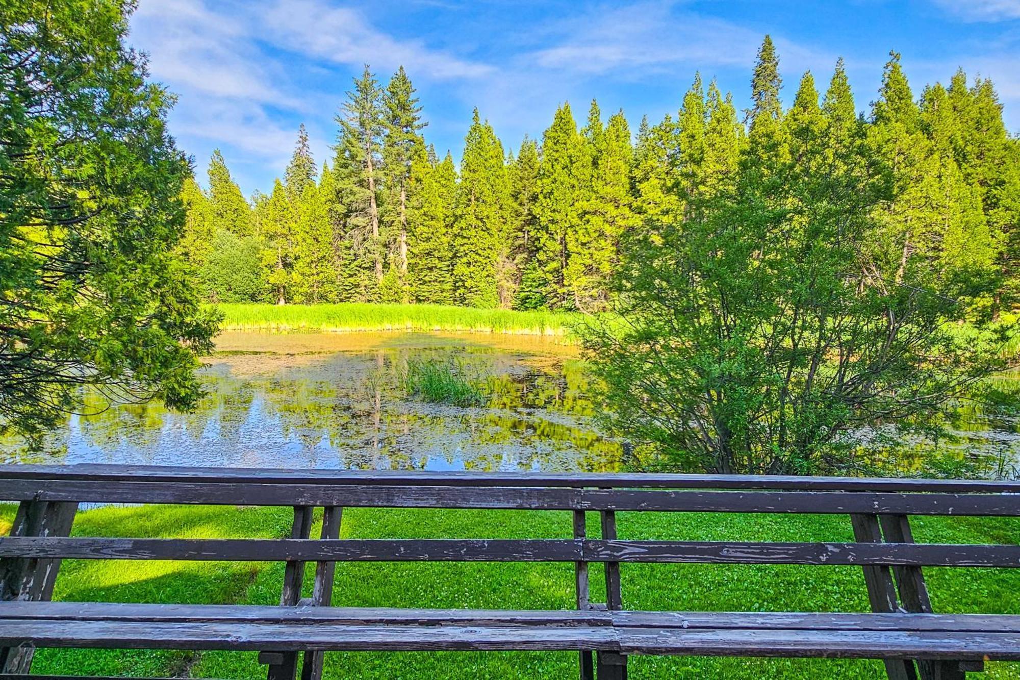 Villa Water'S Edge Retreat Shaver Lake Exterior foto